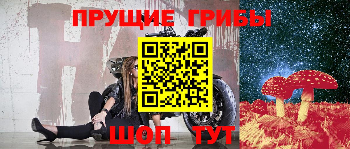 Гусь-Хрустальный  Галлюциногенные грибы Cubensis  где купить наркоту  Вход с VPN 